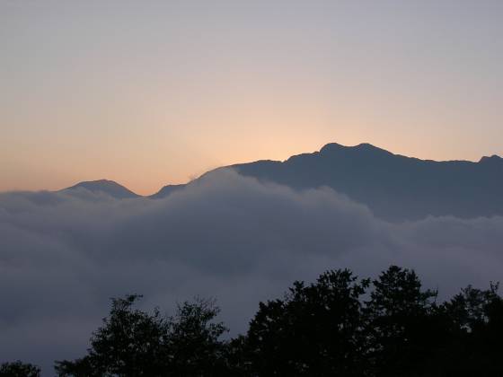 Alishan Forest Recreation Area